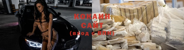 a pvp Алзамай