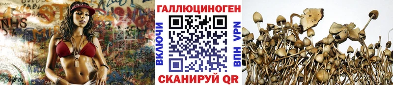 Галлюциногенные грибы мицелий  цена наркотик  Чадан 