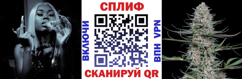 Шишки марихуана марихуана ссылка на мегу рабочий сайт Чадан где купить наркоту